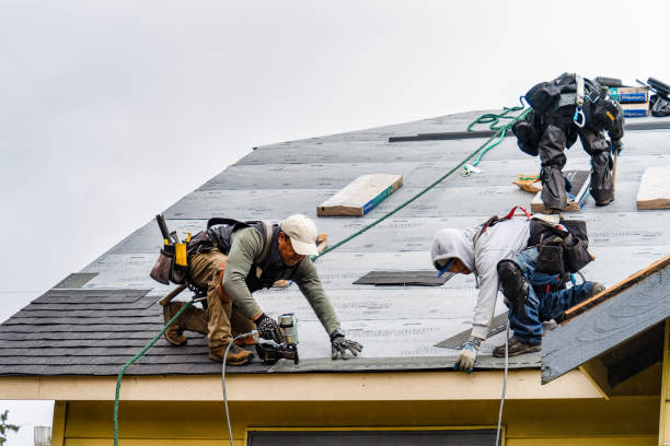 Professional Gutter Installation technician working in Versailles, IN
